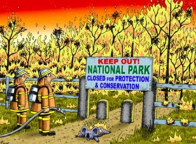National Parks and Wildlife Service jobs remain unfilled - News
