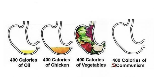 understanding calories - News