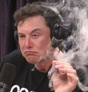 That amazing smell of Musk - News